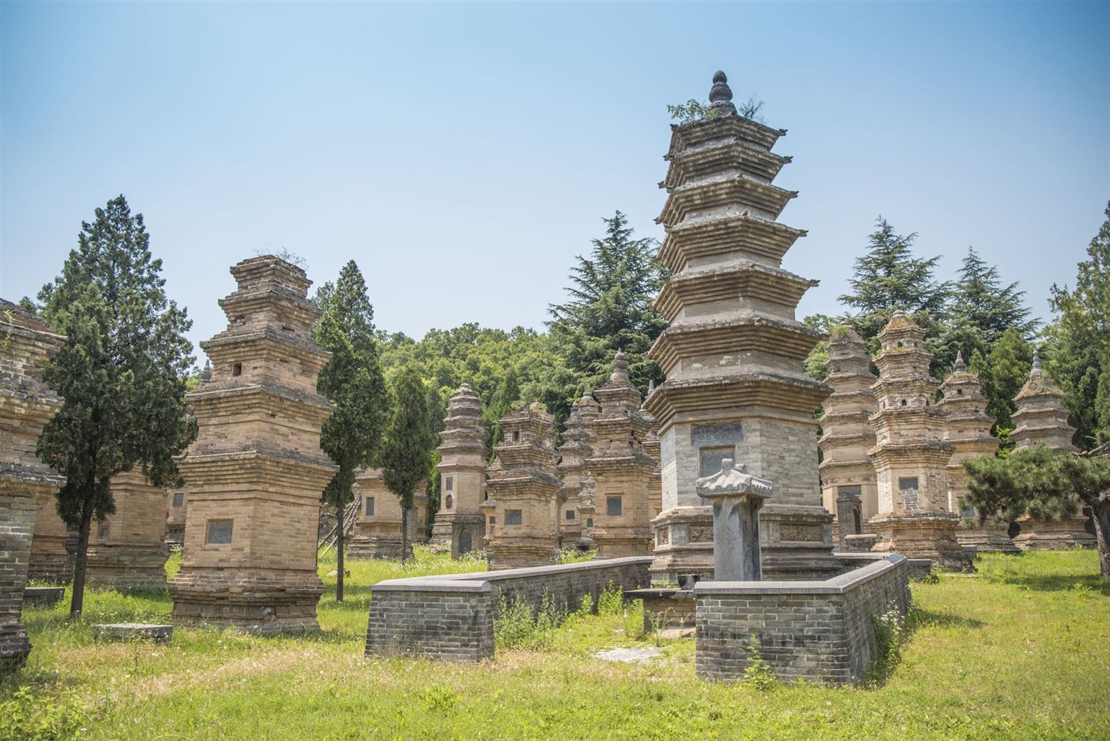 Shaolin Kloster mit Wald Pagoden